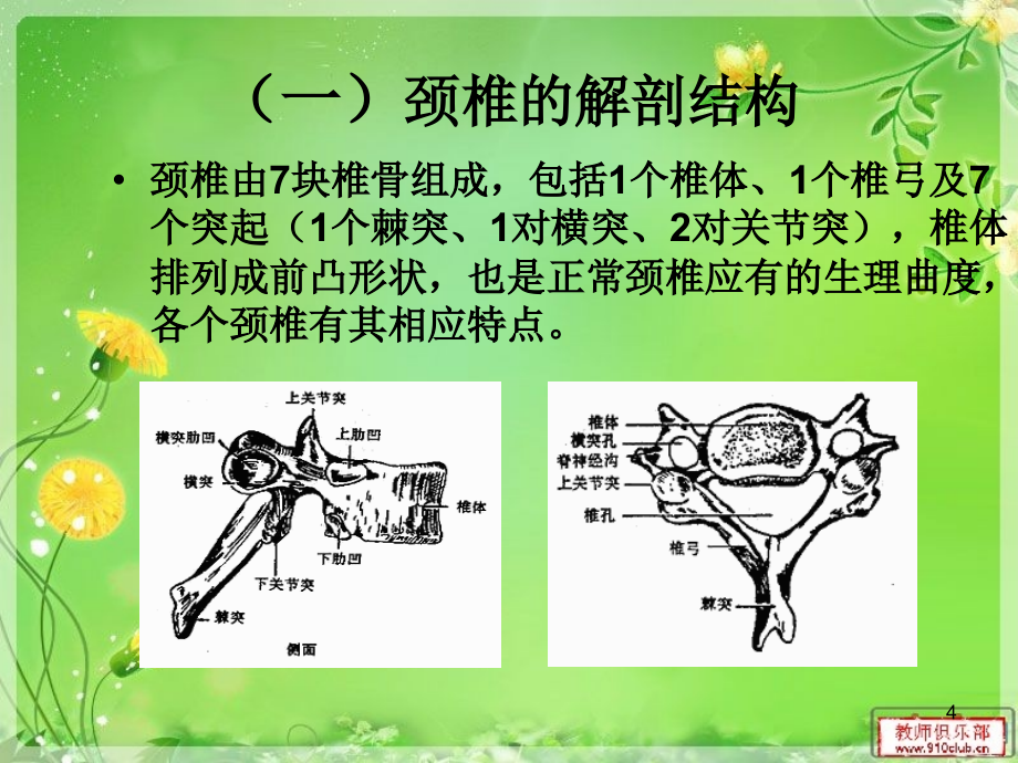 颈椎病康复护理PPT幻灯片课件_第4页