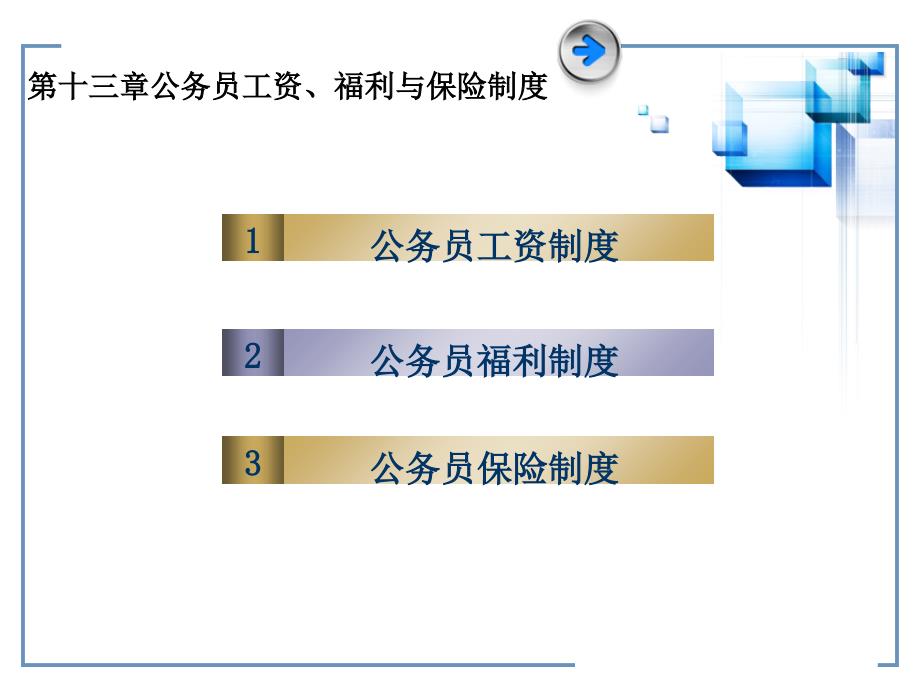 《精编》公务员工资、福利与保险制度_第1页