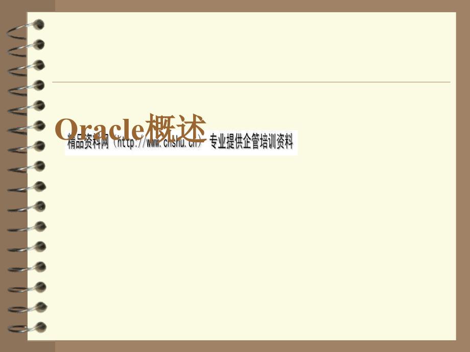 Oracle数据库系统概述_第1页