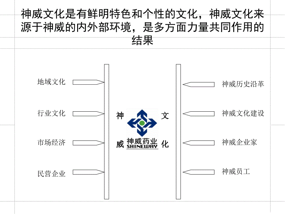 《精编》药业企业文化诊断报告_第2页