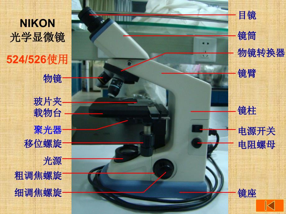 实验1-显微镜使用与植物细胞观察精编版_第4页