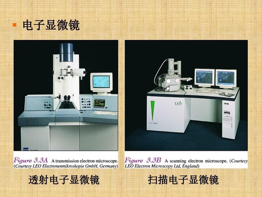 实验1-显微镜使用与植物细胞观察精编版_第5页