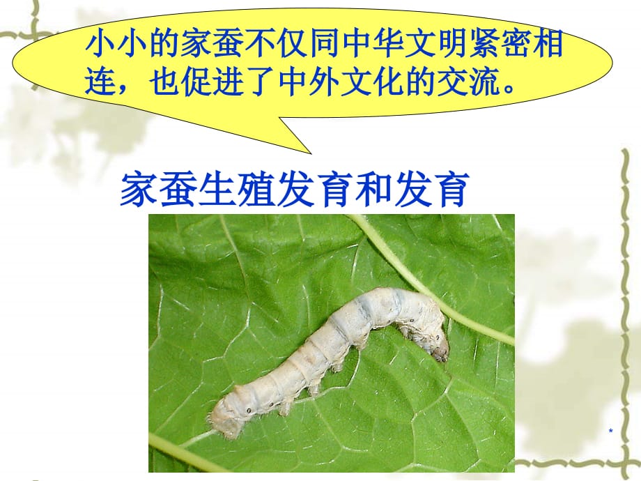昆虫的生殖和发育PPT幻灯片课件_第4页