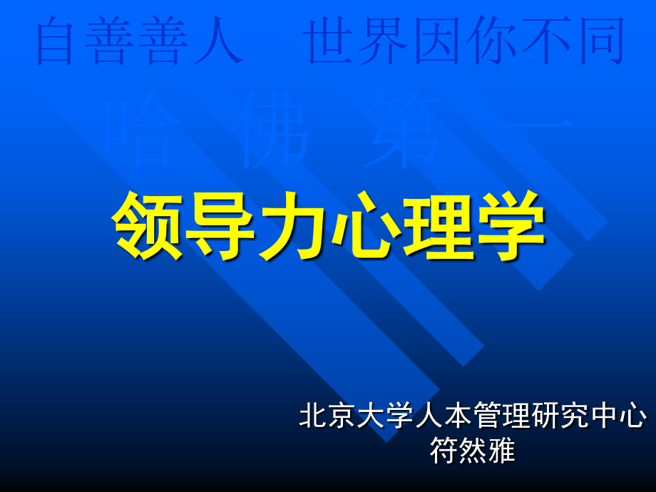 《精编》CEO管理运营之领导力心理学讲义_第1页