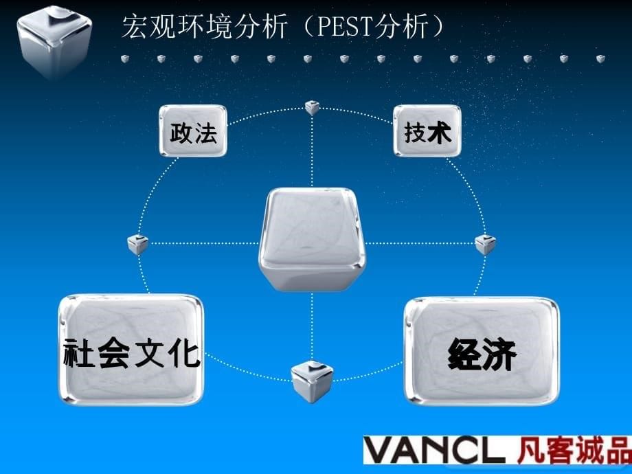 《精编》凡客诚品战略规划报告_第5页