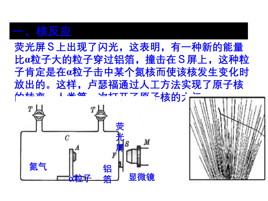 高中物理新课标版人教版选修3-5课件：19.4《放射性的应用与防护》_第3页