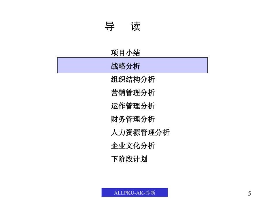 《精编》某鞋业集团公司管理模式诊断报告_第5页