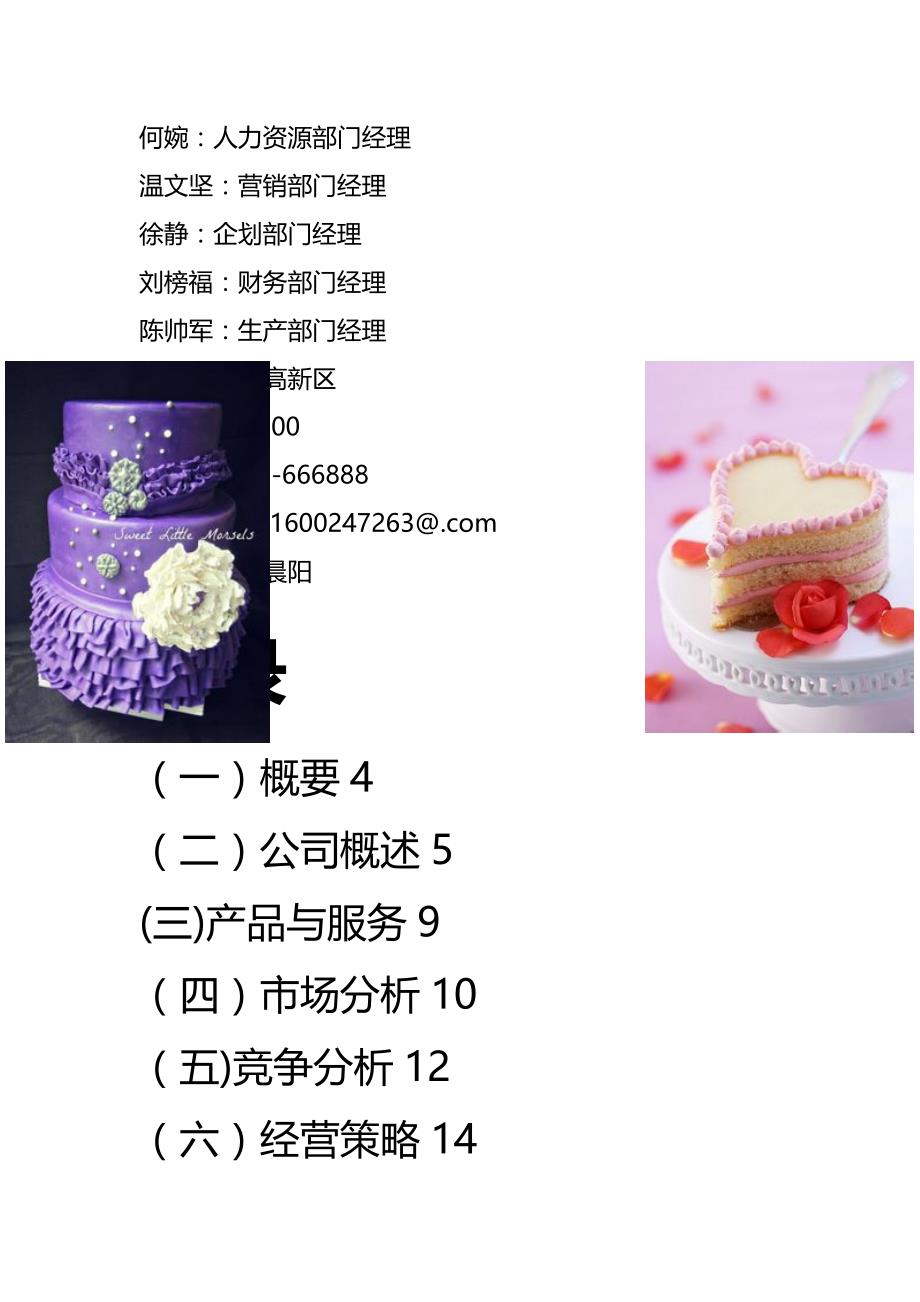 (精编)艾思妮diy蛋糕店创业计划书_第3页