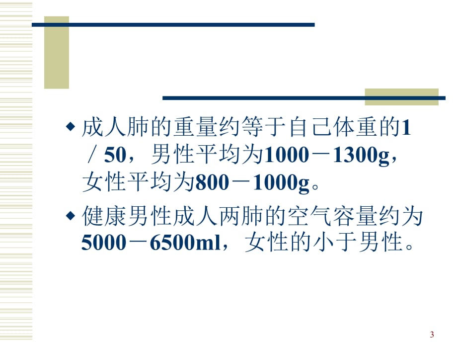 肺的解剖及分段PPT幻灯片课件_第3页