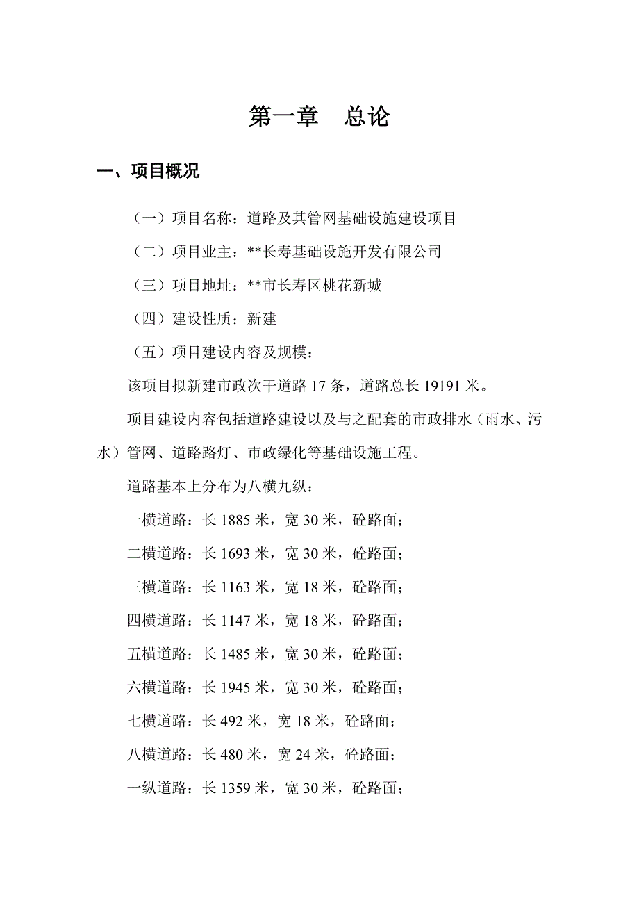 《精编》道路及其管网基础设施建设项可行性研究报告_第1页