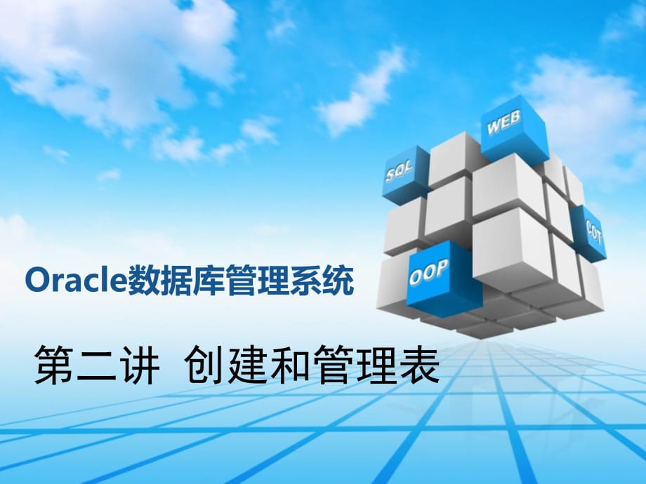 Oracle数据库管理系统教材_第1页