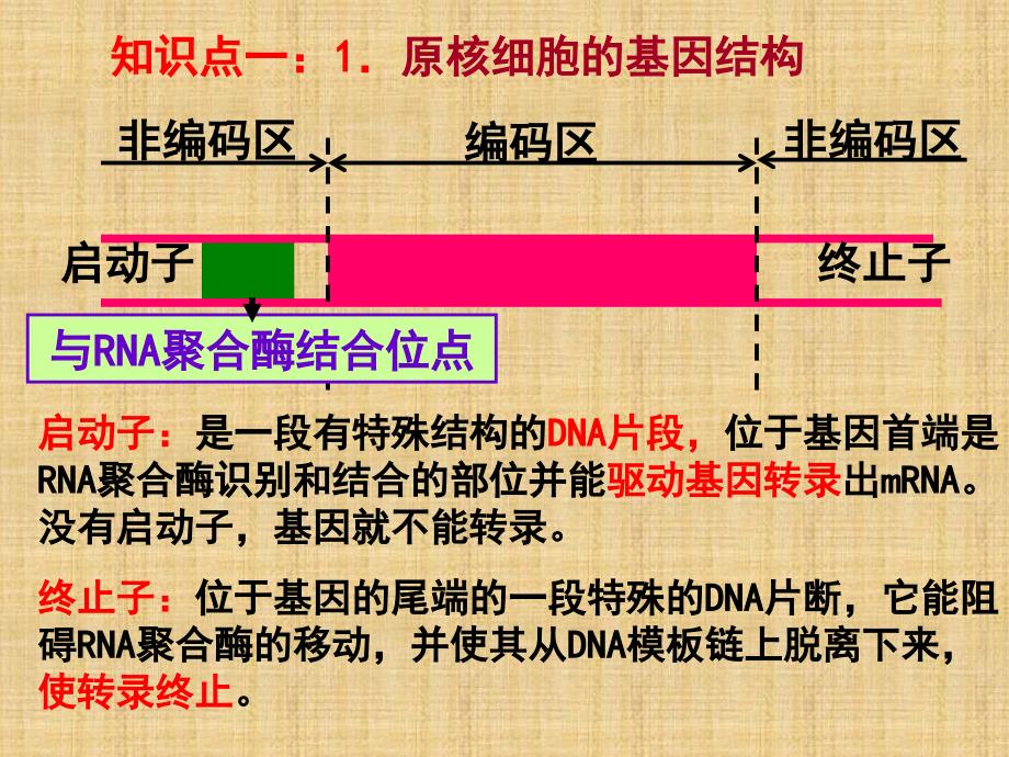 基因工程的步骤好有真原核基因区别精编版_第2页