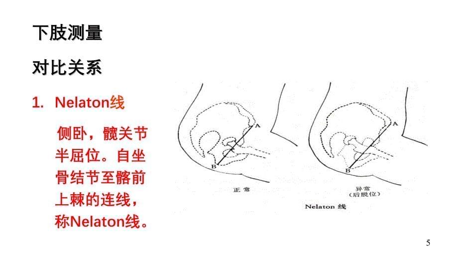 局部解剖学 下肢PPT课件_第5页