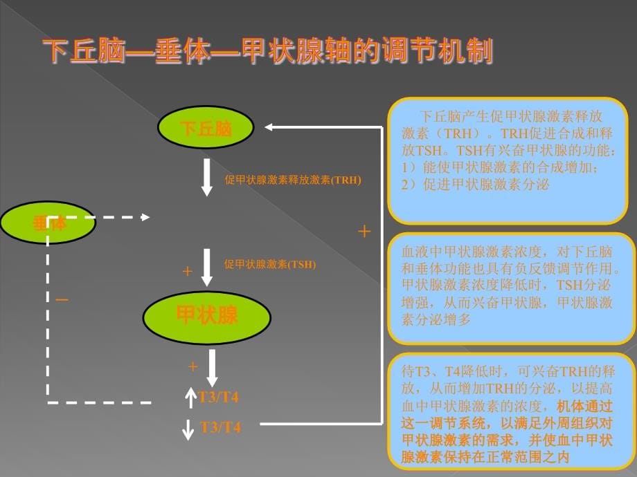 标记免疫分析临床ppt课件_第5页