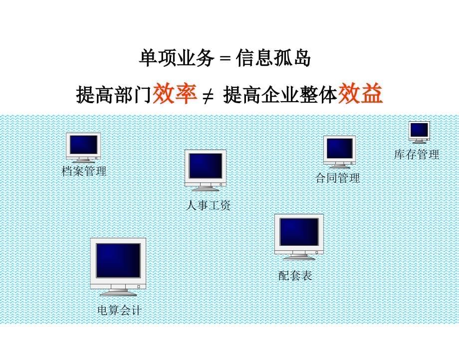 《精编》某香料有限公司信息化管理讲座_第5页