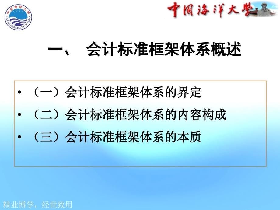 《精编》会计标准框架执行与会计执业判断引导研究_第5页