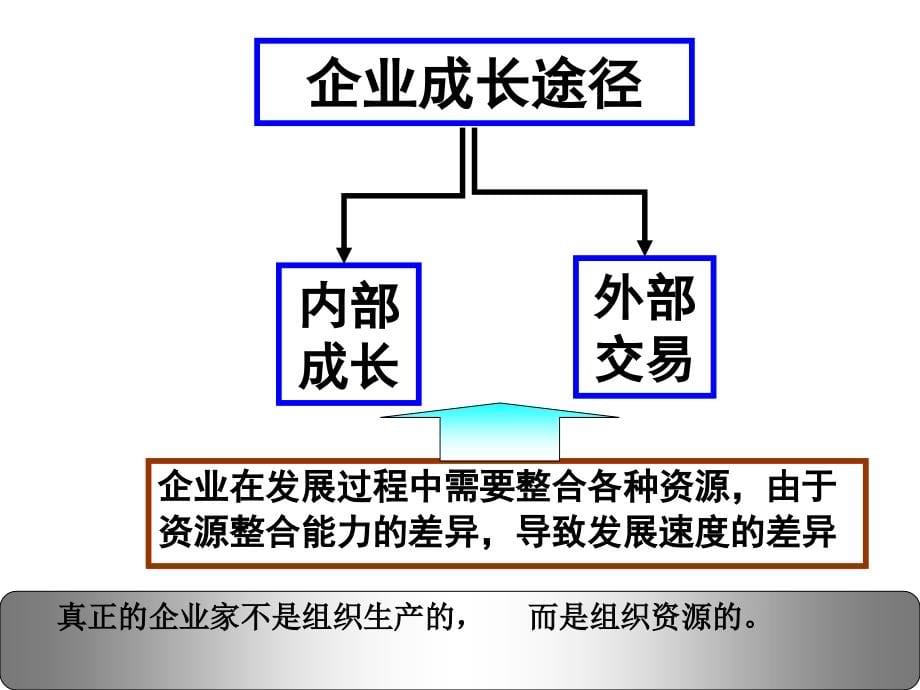 《精编》资本运营培训讲座_第5页