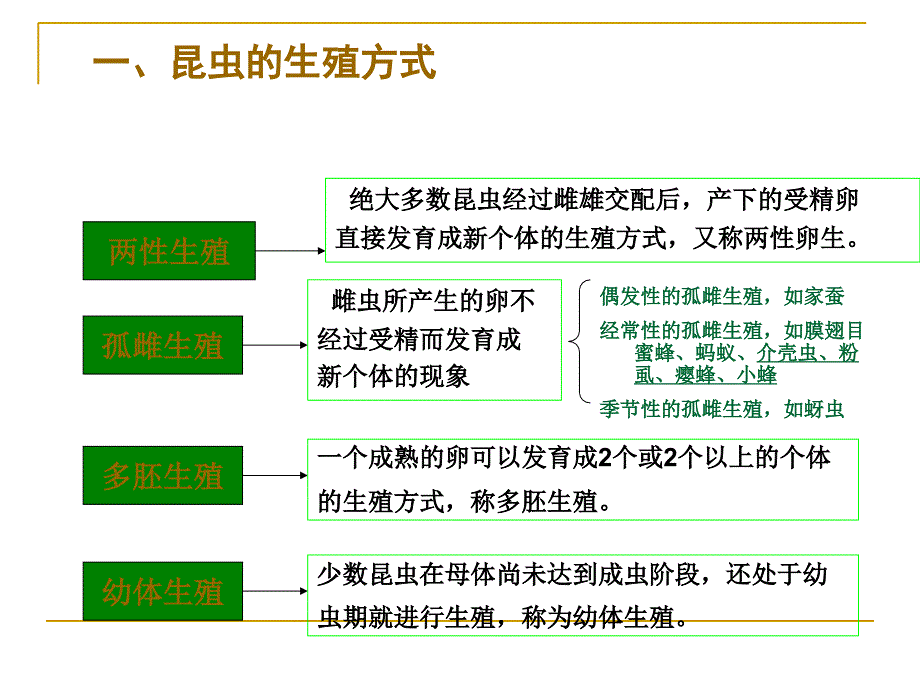 《精编》农业昆虫基本知识之昆虫的繁殖、发育与习性讲义_第4页