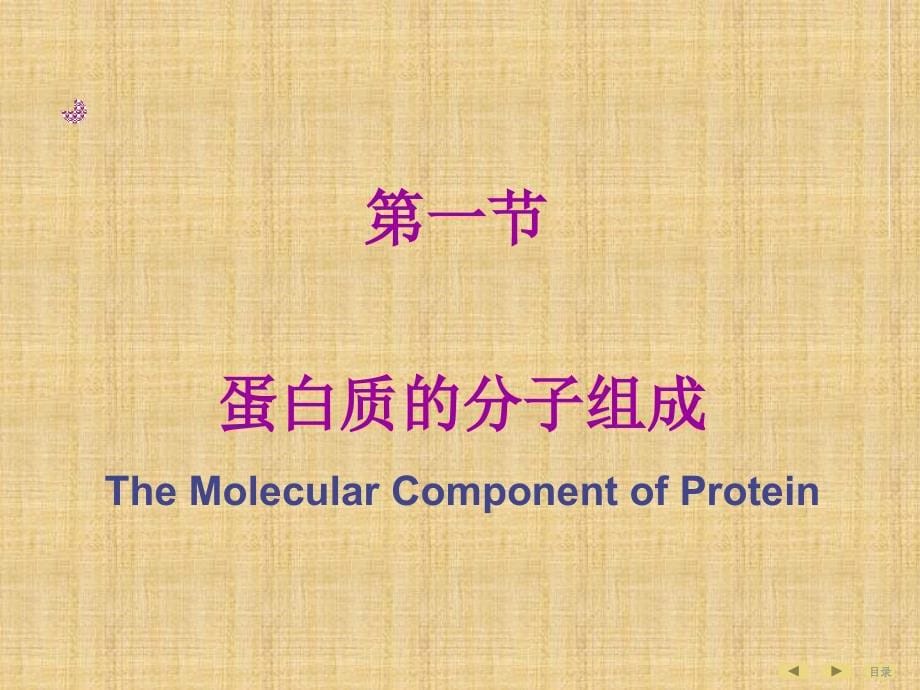 生物化学与分子生物学(人卫版)教材课件全集精编版_第5页