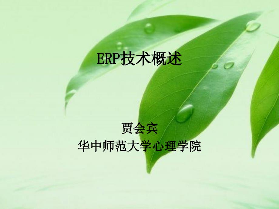 《精编》ERP技术概述课件解析_第1页