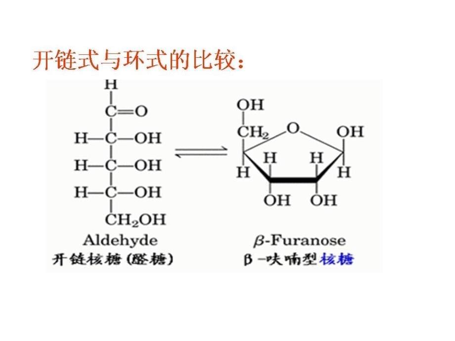 生物竞赛生物化学全套教学课件 共370张PPT精编版_第5页