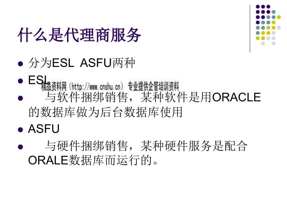 Oracle产品分类与渠道体系_第5页