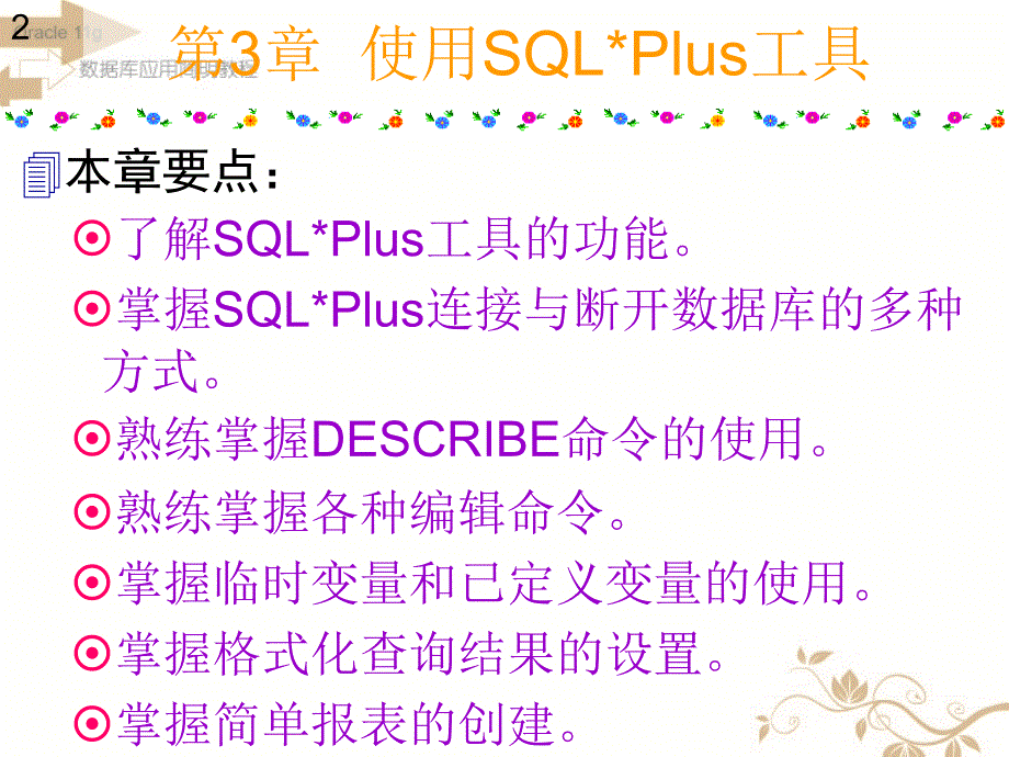 Oracle数据库应用培训--使用SQL.zipPlus工具_第2页