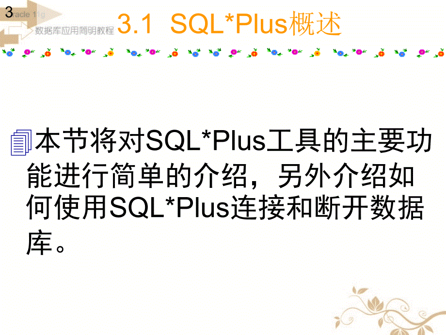 Oracle数据库应用培训--使用SQL.zipPlus工具_第3页