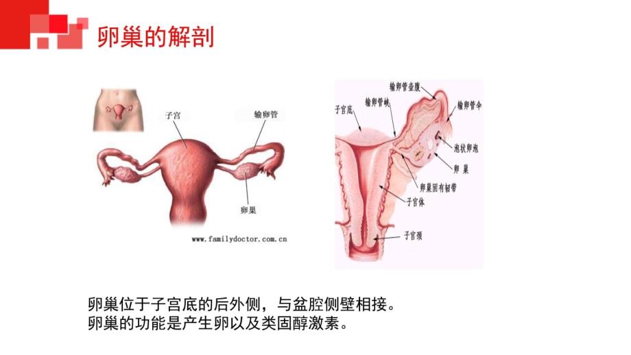 腹腔镜下卵巢囊肿剥除术配合备课讲稿_第3页