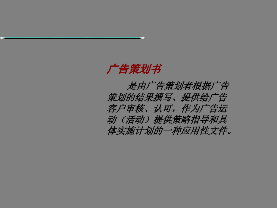 《精编》广告策划书的撰写_第2页