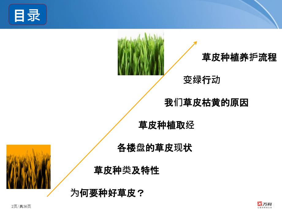 景观草皮种植总结ppt课件_第2页