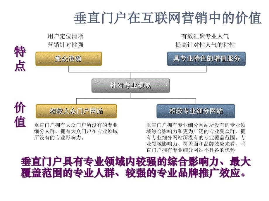 《精编》赛迪网营销策略方案探析_第5页