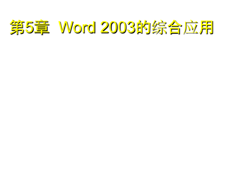 《精编》Word 2003的综合应用_第2页