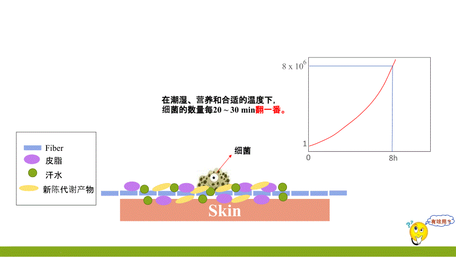 抗菌材料及其原理ppt课件_第3页