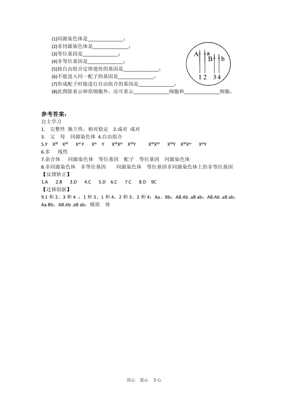 高中生物：2.2 遗传的染色体学说 学案 浙科版必修2.doc_第4页