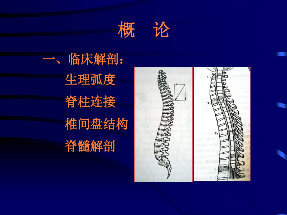 颈肩腰腿痛防治PPT课件_第3页