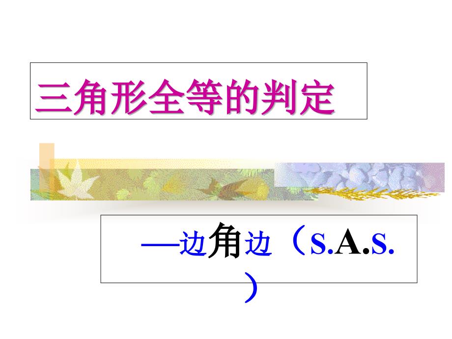 华师八年级数学13.2.3边角边教学文稿_第1页