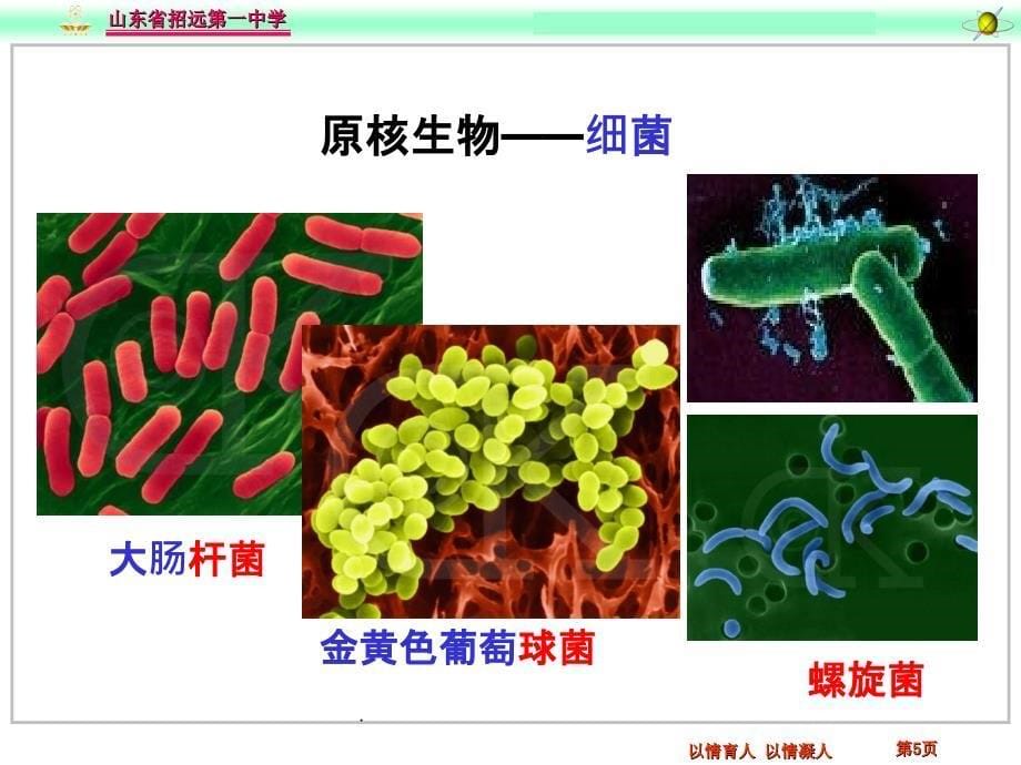 细胞的多样性和统一性46662ppt课件_第5页