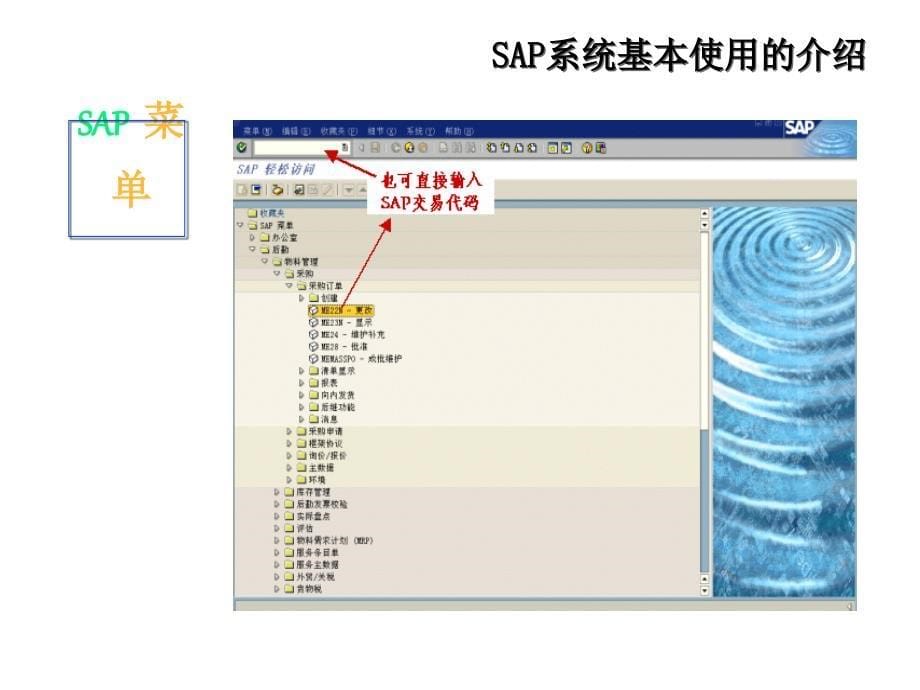 《精编》中石化公司SAP简介_第5页