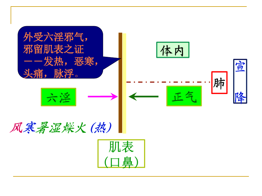 第一章解表剂PPT课件_第3页