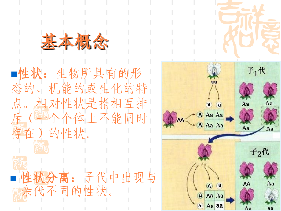 第四章单基因病上PPT课件_第4页