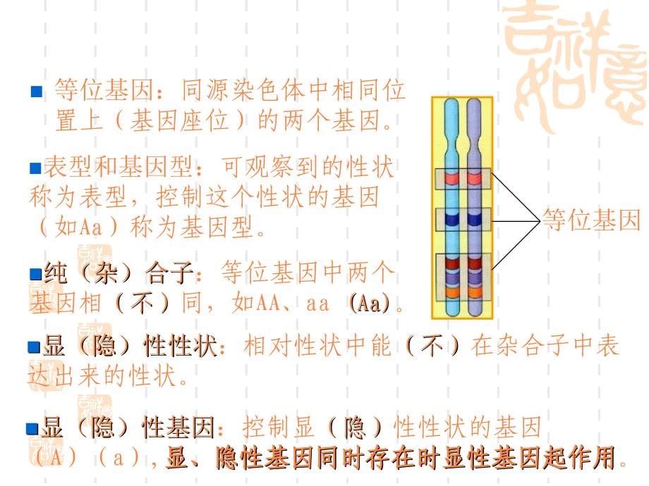 第四章单基因病上PPT课件_第5页