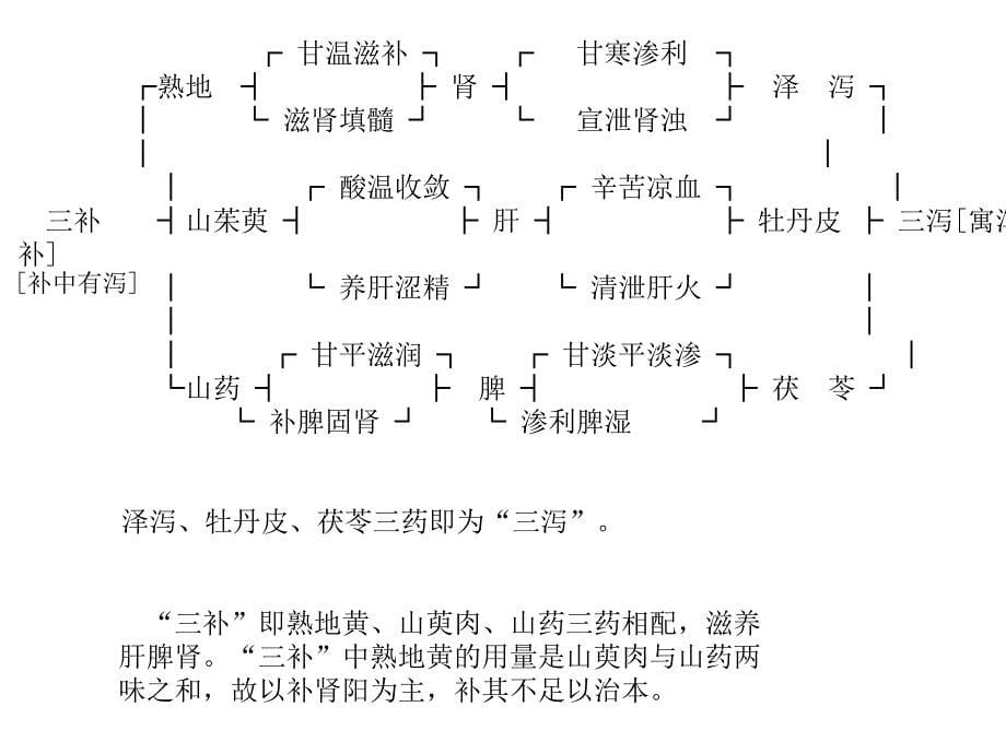 补阴剂精PPT课件_第5页