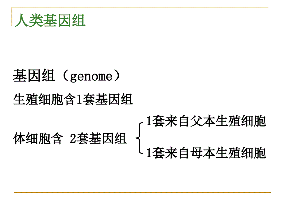 医学遗传学疾病的单基因遗传PPT课件_第2页