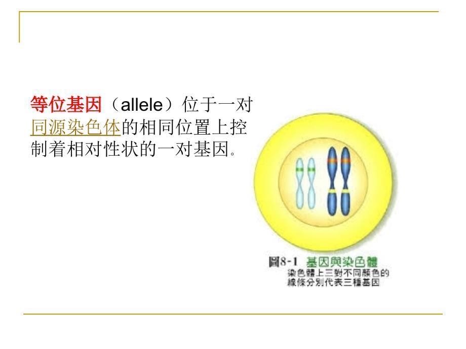 医学遗传学疾病的单基因遗传PPT课件_第5页