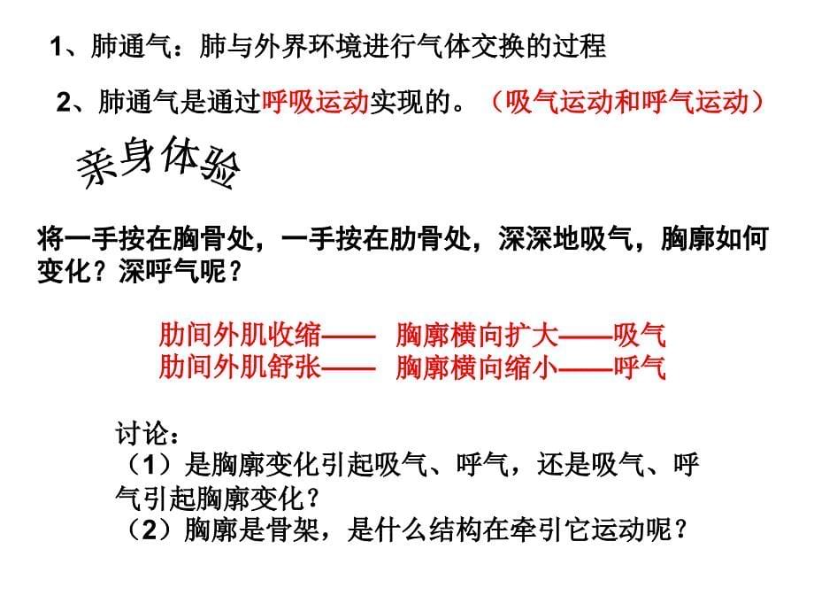 呼吸的过程——课件说课讲解_第5页