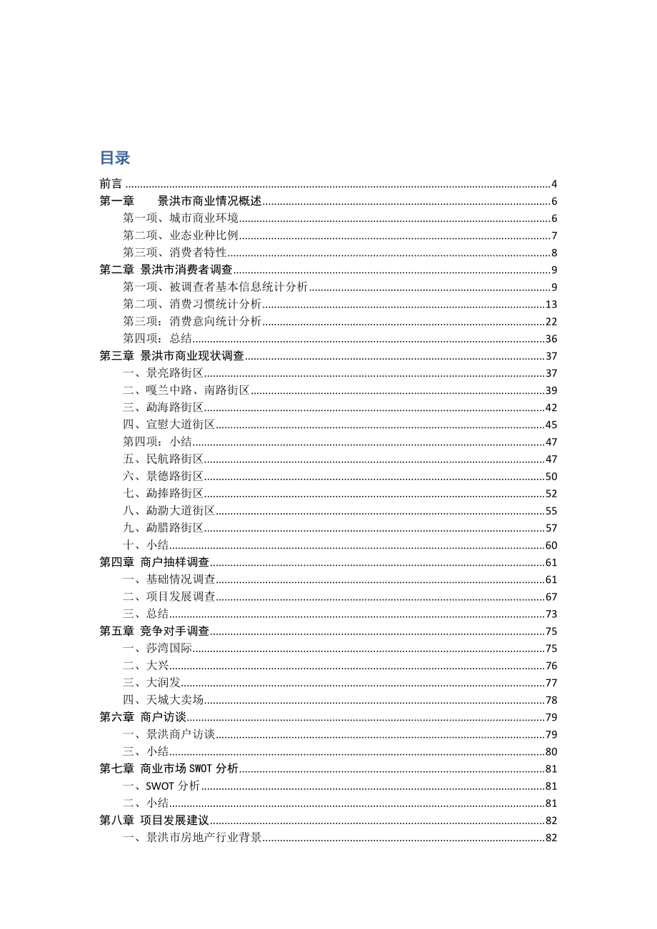 景洪市商业调查报告(成稿)_第2页