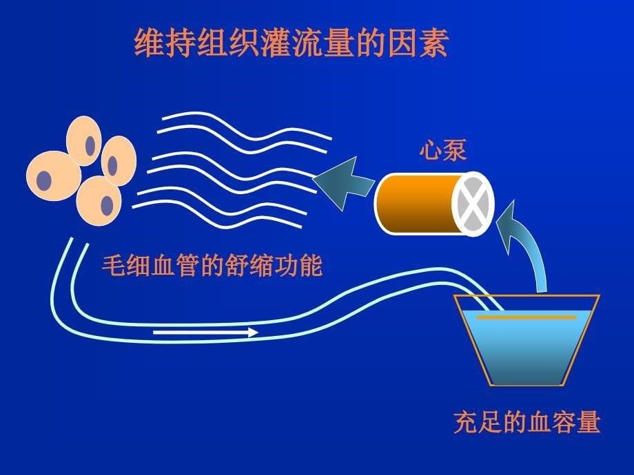 病理生理学完整PPT课件_第5页