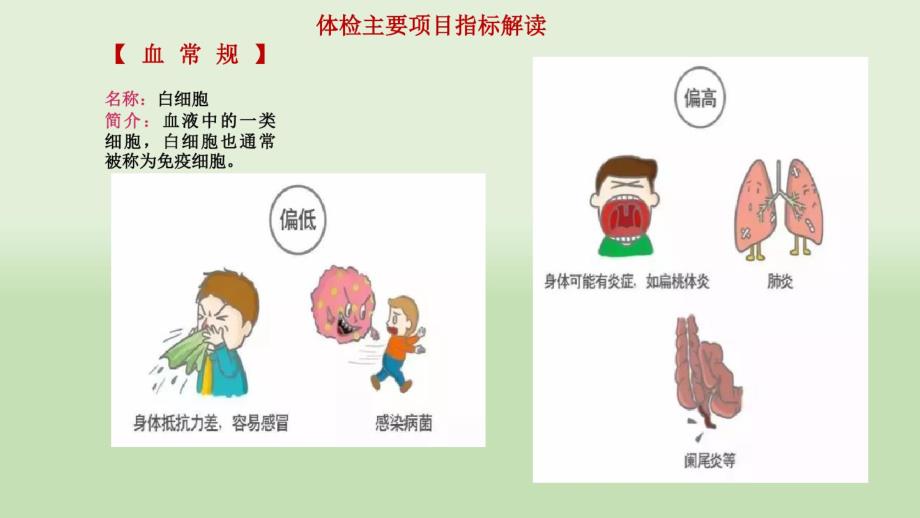 实用的漫画体检报告.pdf_第2页