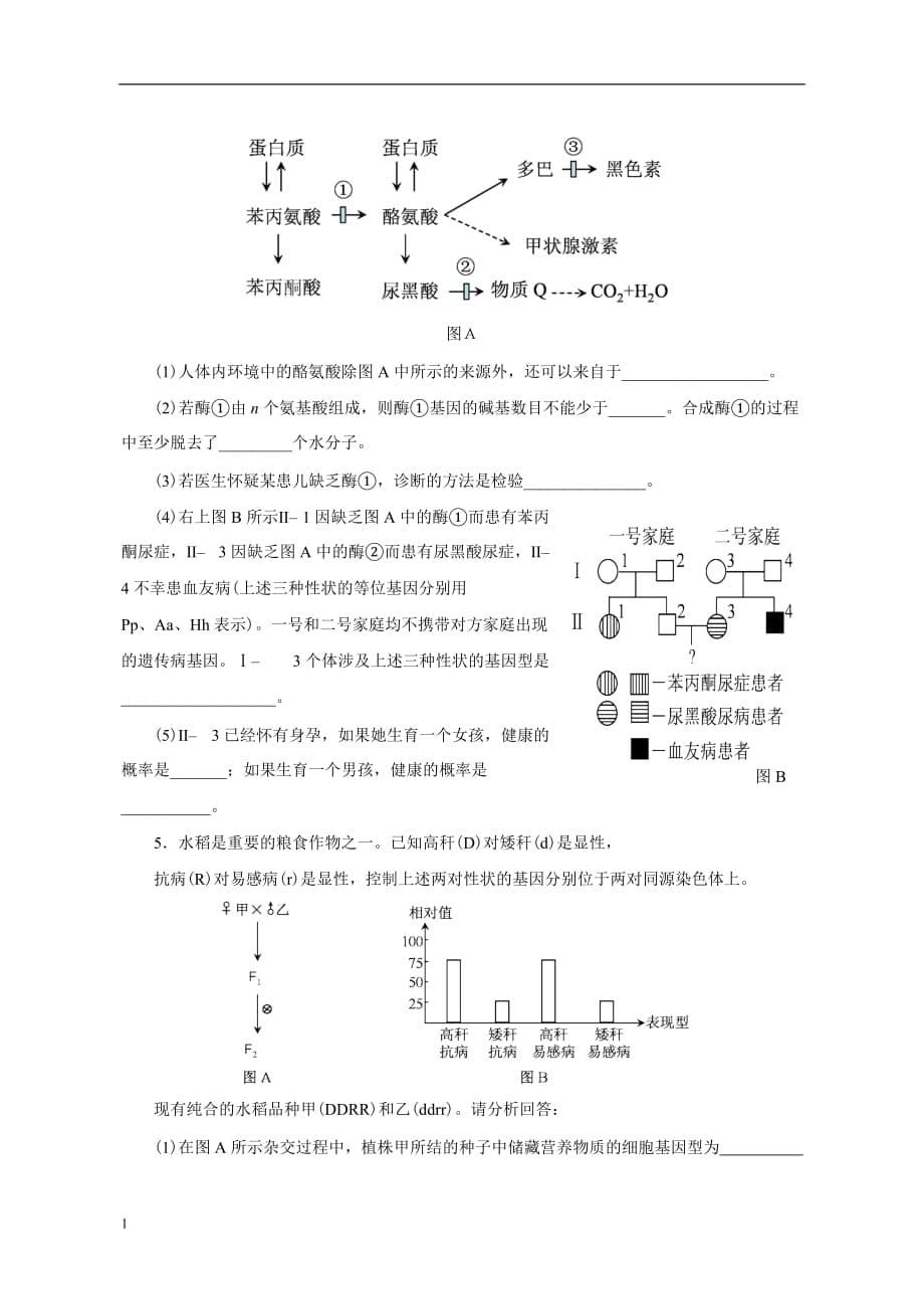 高中生物必修2综合测试题(附答案)教材课程_第5页